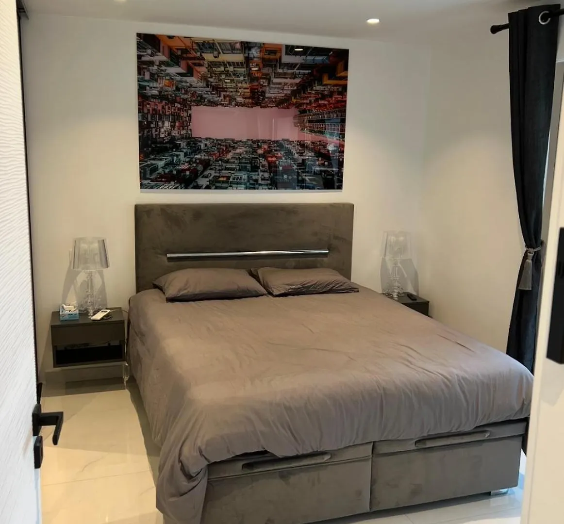 Appartement Cannes Hyper Centre Croisette Et Rue Antibes