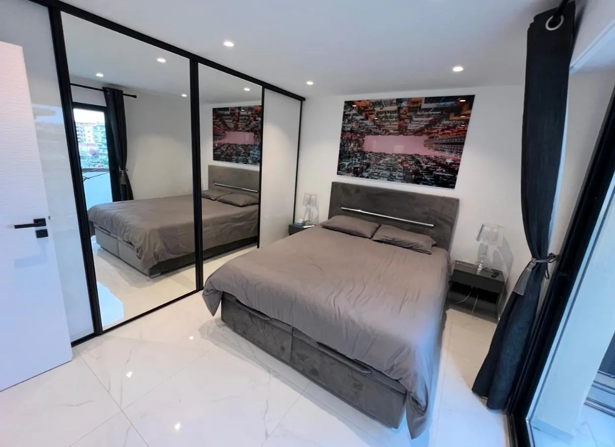 Appartement Cannes Hyper Centre Croisette Et Rue Antibes Apartment